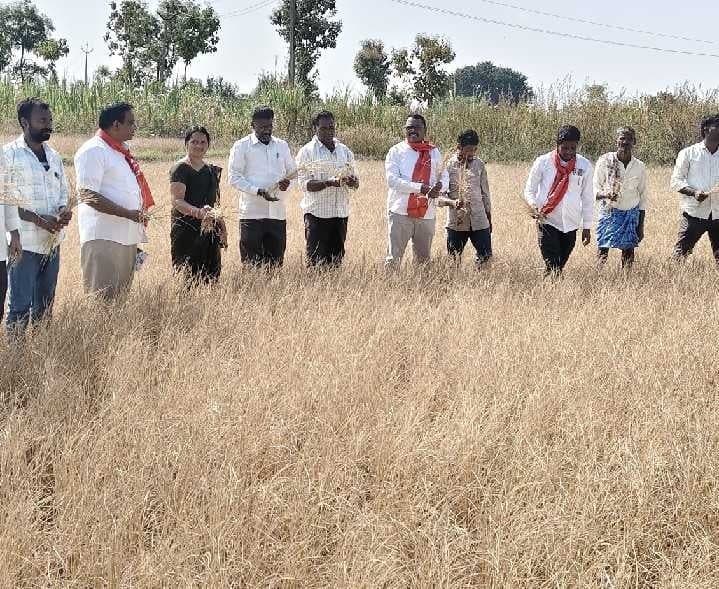 మహమ్మదాబాద్‌ను కరవు మండలంగా ప్రకటించాలి - Udayam