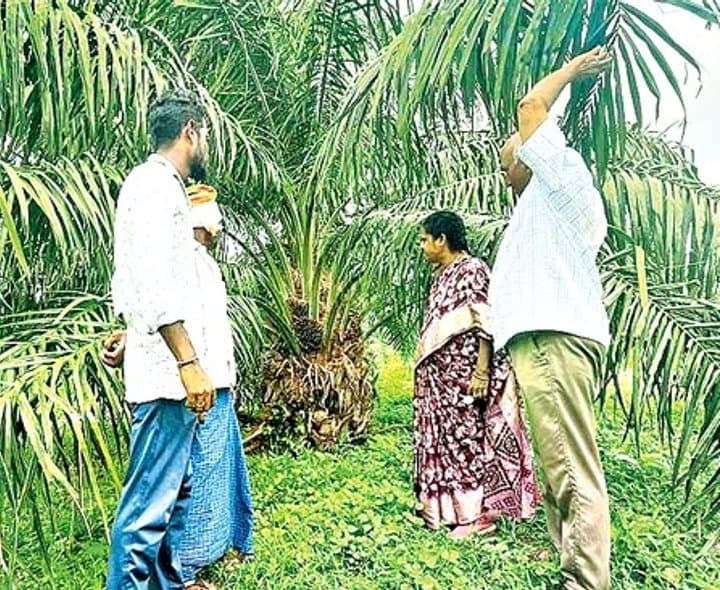 ప్రత్యామ్నాయ పంటలకు ప్రోత్సాహం