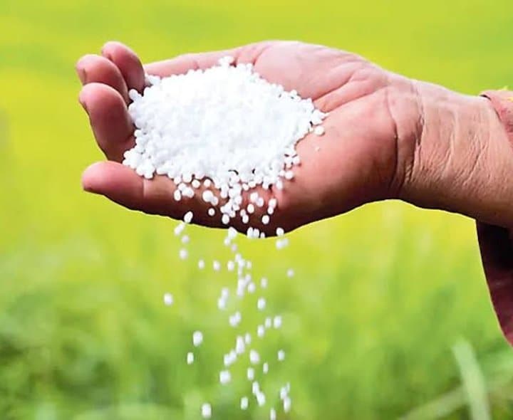 కౌడిపల్లి: రేపు అందుబాటులోకి యూరియా - Udayam