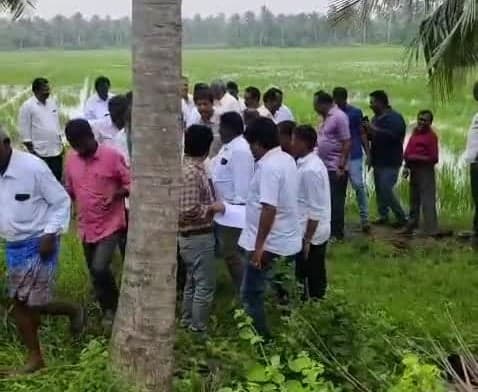 ముంపు వరి చేలను పరిశీలించిన ఎమ్మెల్యే దాట్ల - Udayam