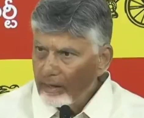 రౌడీలే రాజకీయం చేస్తున్నారు: చంద్రబాబు