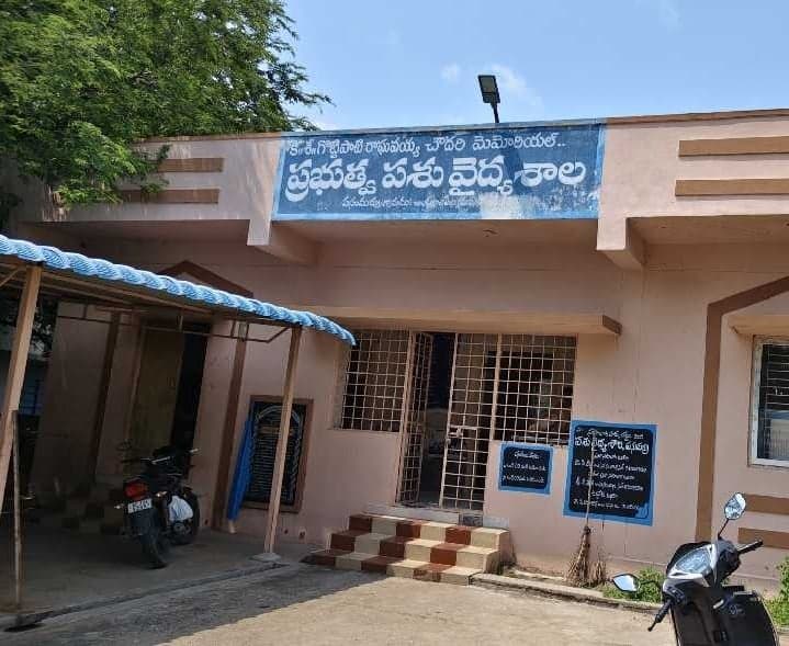 పసుమర్తిలో రేబీస్ వ్యాక్సిన్ కొరత - Udayam
