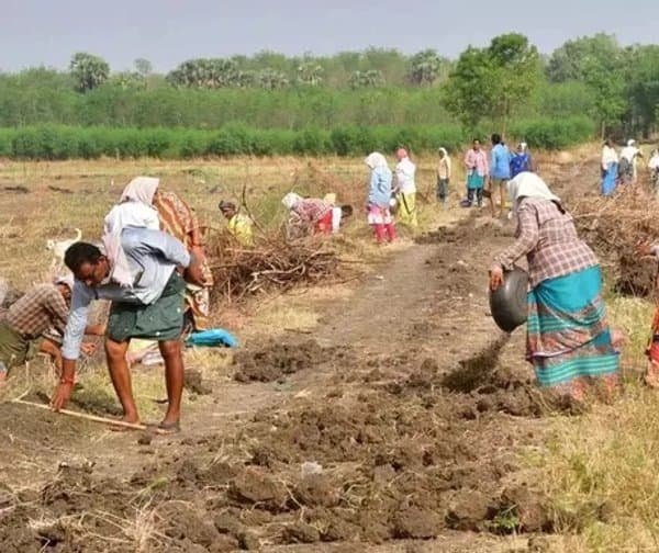 ఉపాధి కూలీలకు శుభవార్త: రూ.1,824 కోట్లు విడుదల
