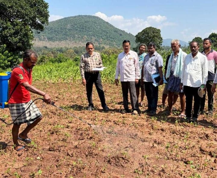 మల్లవరంలో రాజ్‌మా రైతులకు అవగాహన - Udayam