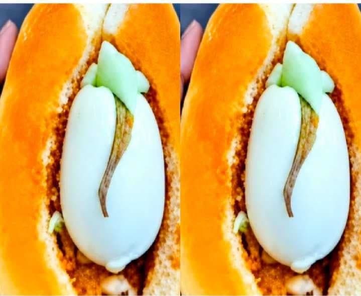 బొప్పాయిలో వినాయకుడి ఆకారం