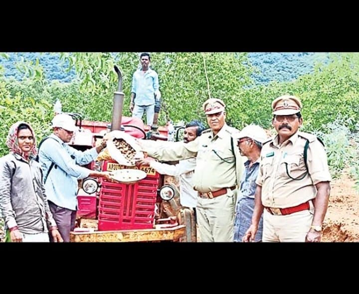 అడవుల కోసం 50 వేల విత్తన బంతులు