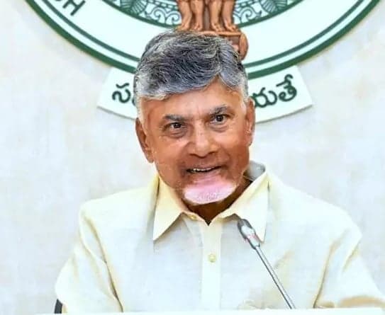స్థానిక ఎన్నికలపై చంద్రబాబు కసరత్తు