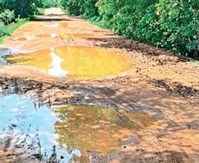 అటవీ అనుమతులతో నిలిచిన రోడ్లు