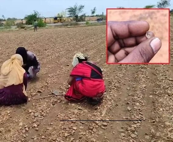 మారెల్లలో కూలీకి దొరికిన వజ్రం