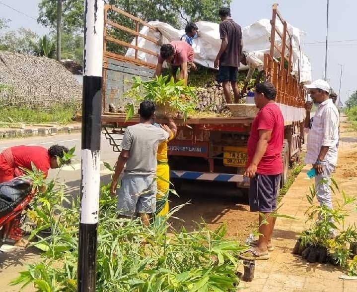 అరణ్యశ్రీ పథకానికి వెదురు మొక్కలు సిద్ధం - Udayam