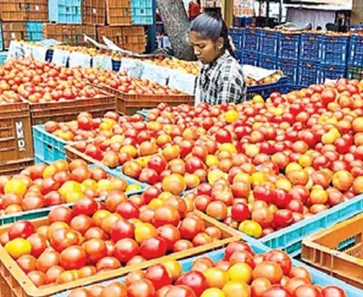 మదనపల్లె మార్కెట్‌లో టమాటా ధర రూ.13