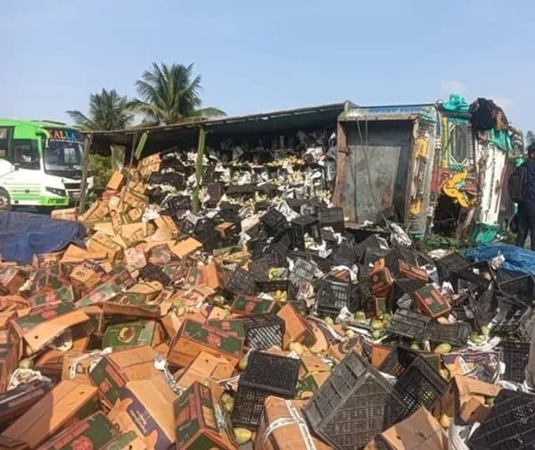 మామిడికాయలతో వెళ్తున్న లారీ బోల్తా
