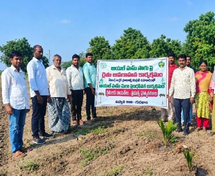 ఆయిల్‌పామ్‌తో రైతులకు దీర్ఘకాలిక ఆదాయం - Udayam