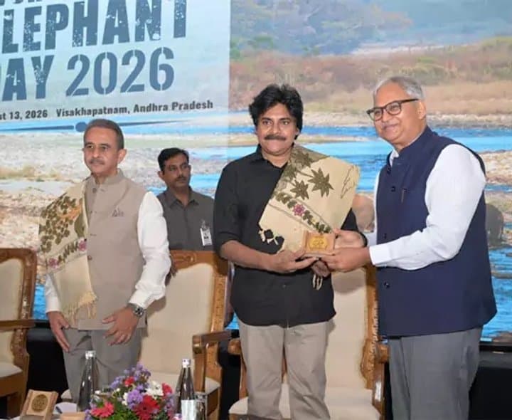ఏనుగుల సంరక్షణ ప్రజా ఉద్యమంగా మారాలి: పవన్
