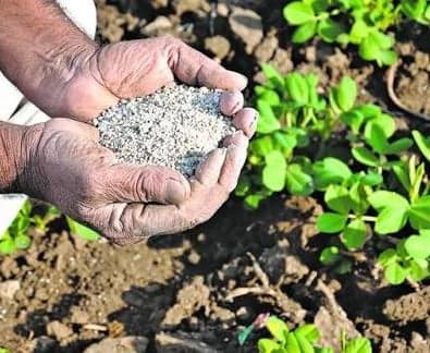 ఎల్‌నినో ప్రభావం.. ఎరువుల అమ్మకాల్లో భారీ తగ్గుదల
