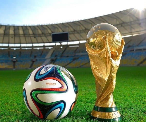 FIFA వరల్డ్‌కప్ ఫైనల్ పిచ్ ముక్కల అమ్మకం