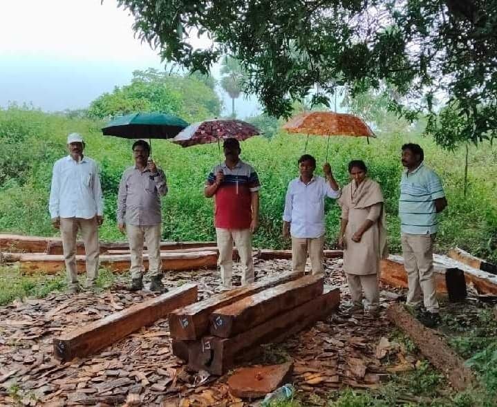 రూ.7.05 లక్షల టేకు కలప పట్టివేత - Udayam