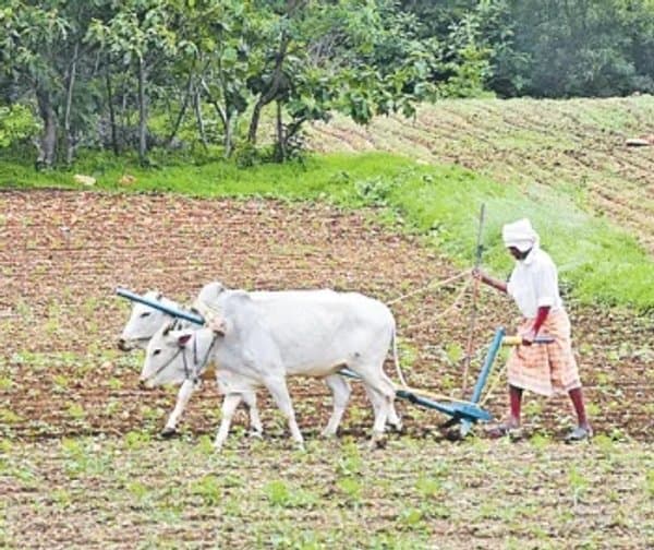 రాయితీ విత్తనాల కోసం రైతుల నిరీక్షణ! - Udayam Digital