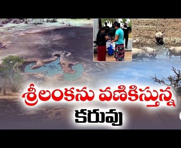 శ్రీలంకలో తీవ్ర కరవు.. ఎండిపోతున్న జలాశయాలు