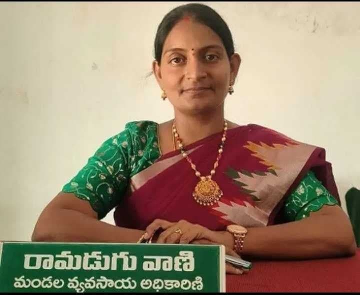 యాసంగిలో ప్రత్యామ్నాయ పంటలు సాగు చేయాలి - Udayam