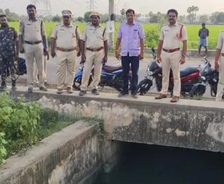 అమ్మో మొసలి..