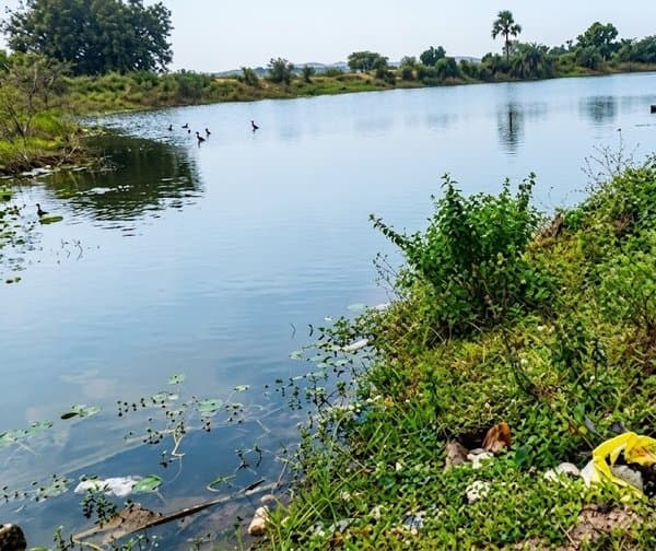 చెరువుల పునరుద్ధరణలో వెలిచాల రైతులు - Udayam Digital