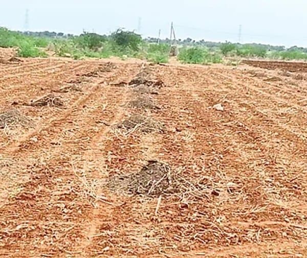 సేంద్రియ సాగుపై రైతుల మొగ్గు
