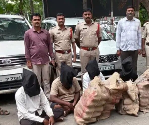 56 లక్షల గంజాయి పట్టివేత