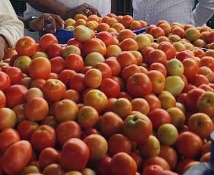 మదనపల్లెలో టమాటా ధరలు పతనం
