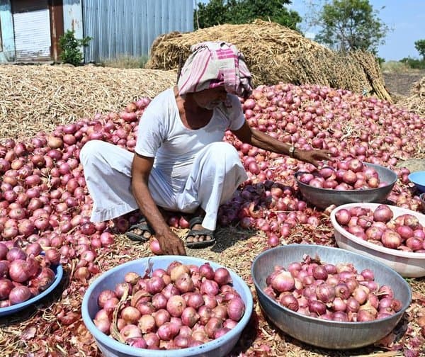 మహారాష్ట్ర రైతుల కడుపు మంట