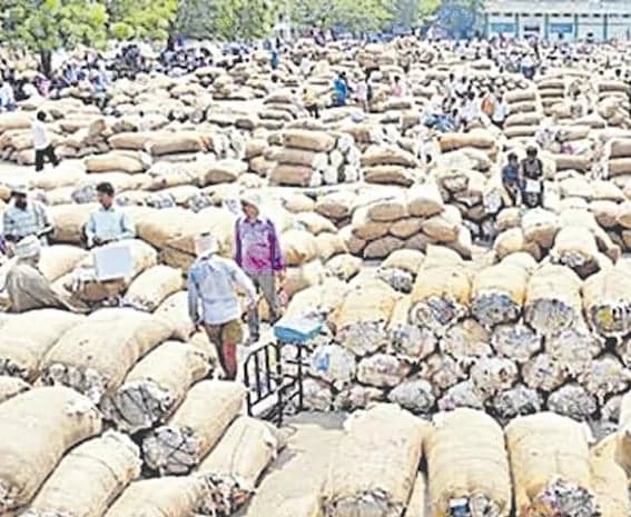 పత్తి కొనుగోళ్లపై కొత్త నిబంధనలు - Udayam