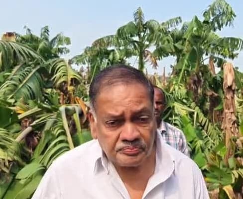 పంట నష్టంపై ఎమ్మెల్యే భరోసా - Udayam