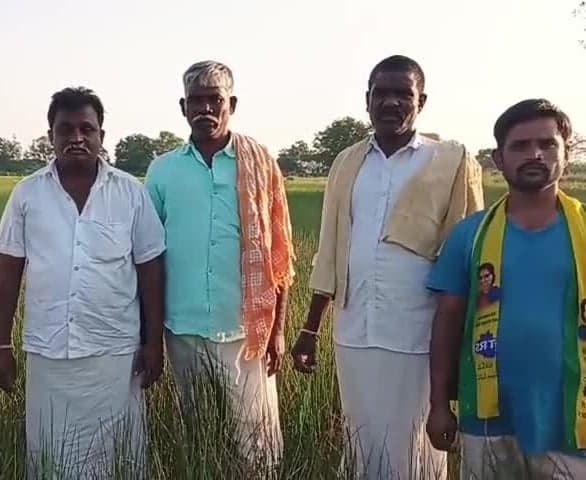 విద్యుత్‌ అంతరాయాలతో పంటలకు నష్టం: సుధాకర్‌ - Udayam