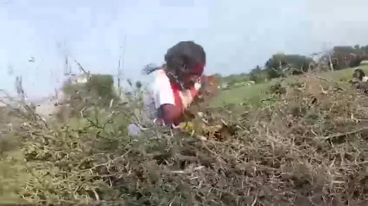 ముళ్లకంపలపై పూజారి విన్యాసాలు