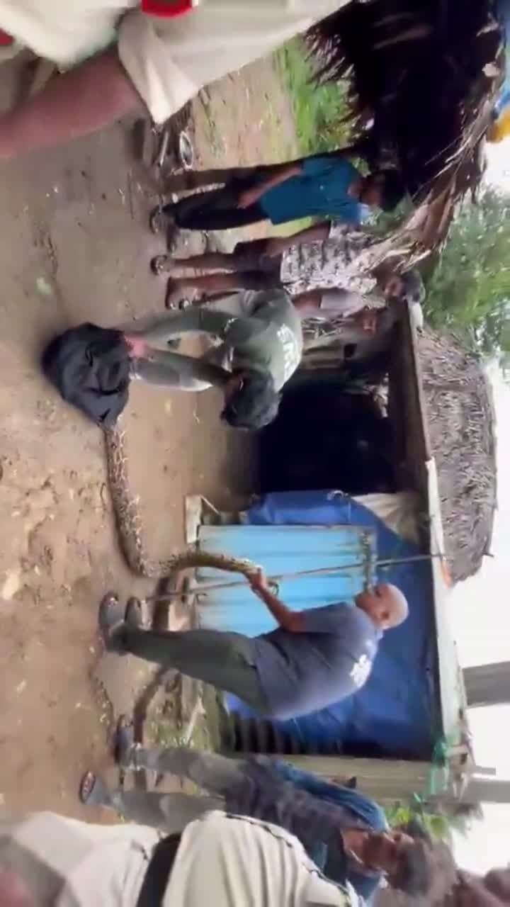 ఇంట్లోకి చొరబడిన భారీ కొండచిలువ