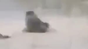 మొసలి నోటికి చిక్కిన బాలుడు