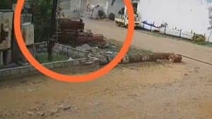 హైదరాబాద్‌లో పేలుడు: కార్మికుడు దుర్మరణం