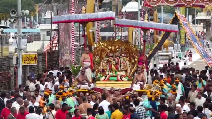 కల్పవృక్ష వాహనంపై మలయప్ప స్వామి దర్శనం