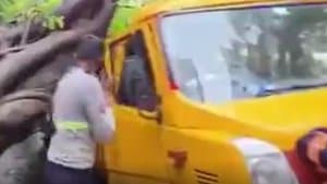 ముంబయి: స్కూల్ బస్సుపై కూలిన చెట్టు.. విద్యార్థి మృతి