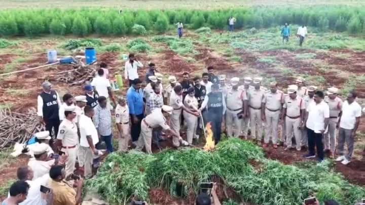 ఏపీలో డ్రగ్స్‌పై పోలీసుల దాడులు