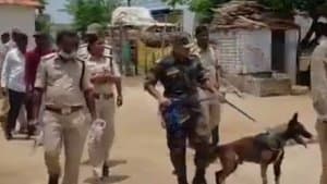 చిరుత వేటగాళ్ల ముఠా అరెస్ట్