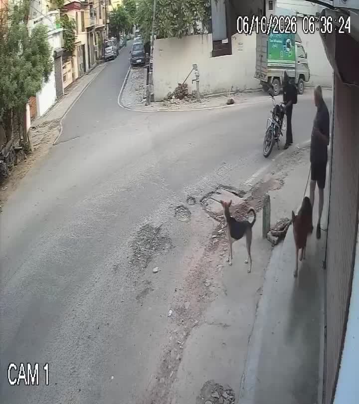 లక్నోలో వీధికుక్కపై కాల్పులు