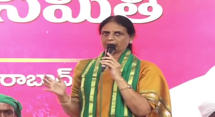 కొడంగల్‌కు రోడ్డు పేరుతో 1000 ఎకరాల భూమి లాక్కుంటున్నారు: సబితా