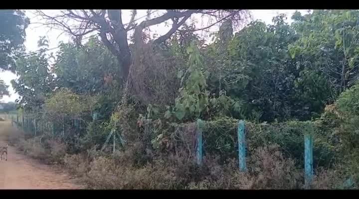 అపరిశుభ్రంగా పల్లె ప్రకృతి వనం - Udayam