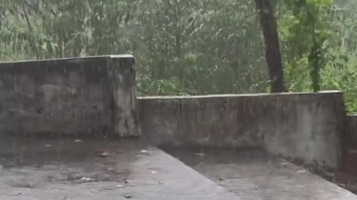 దత్తిరాజేరు మండలంలో భారీ వర్షం - Udayam