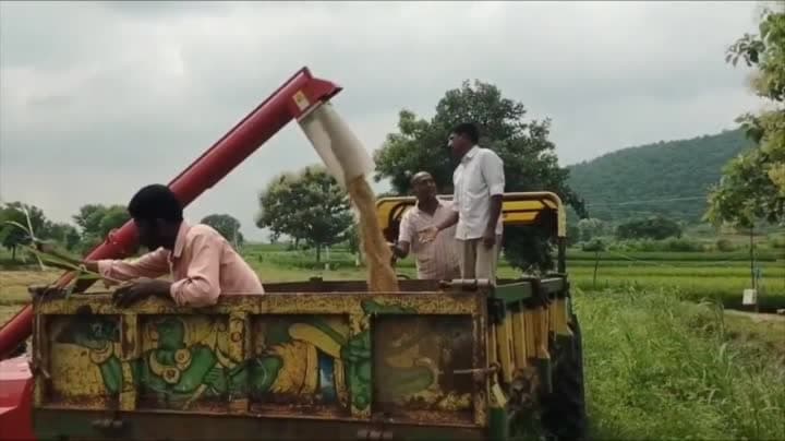ఎల్నినో ఎఫెక్ట్ ఉన్నా.. వరికి రికార్డు ధర