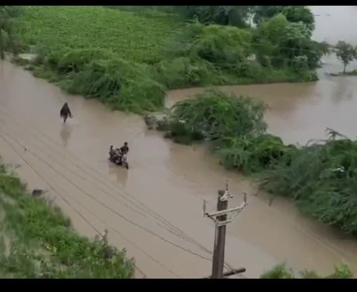 రోడ్డా.. చెరువా? 