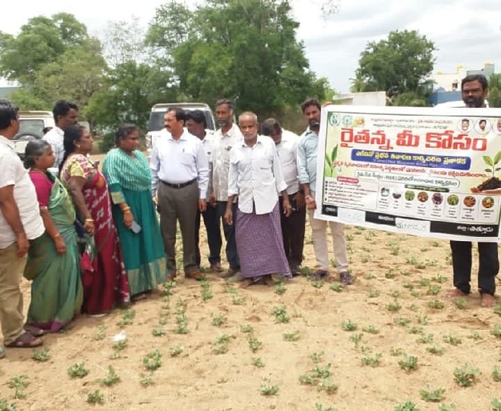 రైతన్న–మీకోసం కార్యక్రమంలో పంటలపై అవగాహన