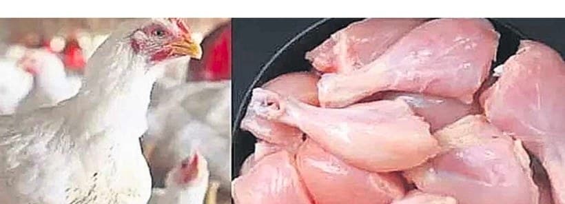 కొండెక్కుతున్న కోడి రేటు...