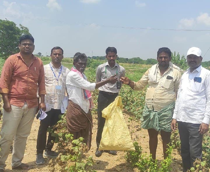 పంట కోత ప్రయోగంలో పత్తి దిగుబడి 86 కిలోలు